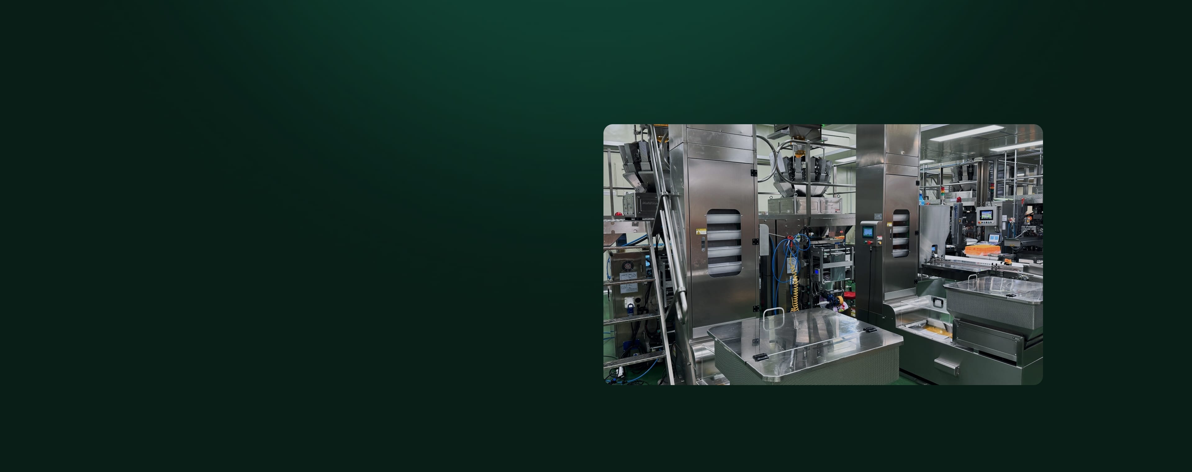 Packing line bg